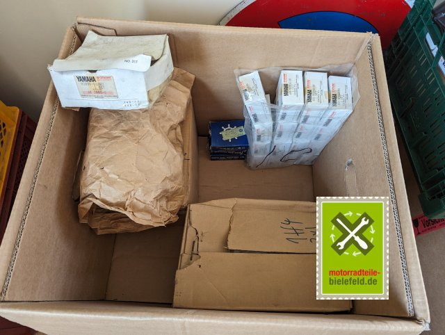 PXL_20240523_095356475